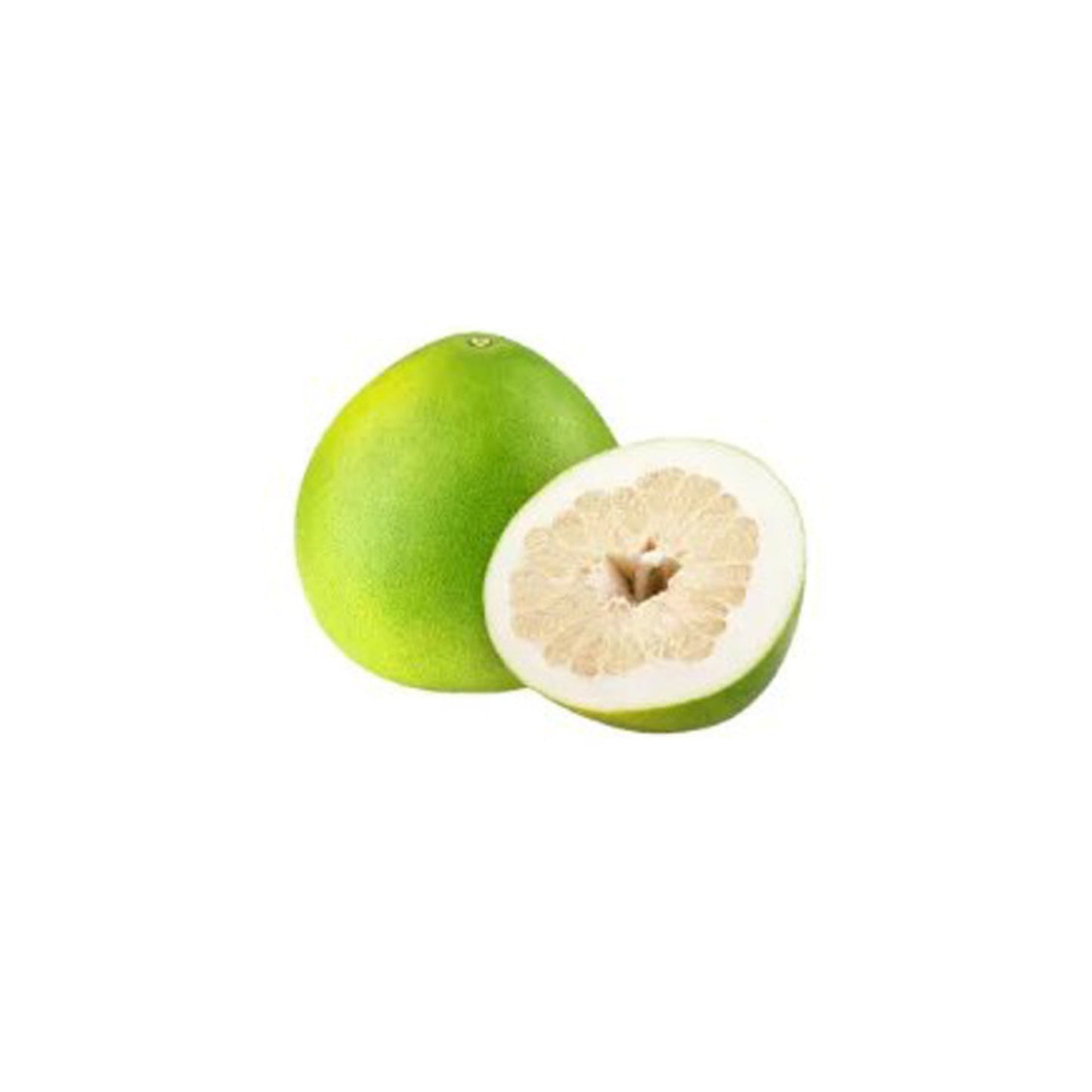 Lakpura® Thaise Witte Pomelo Geënte Plant