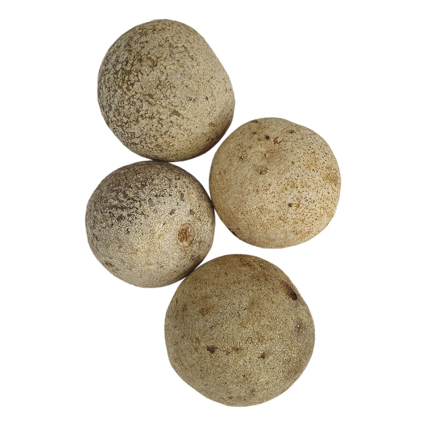 Lakpura houten appel