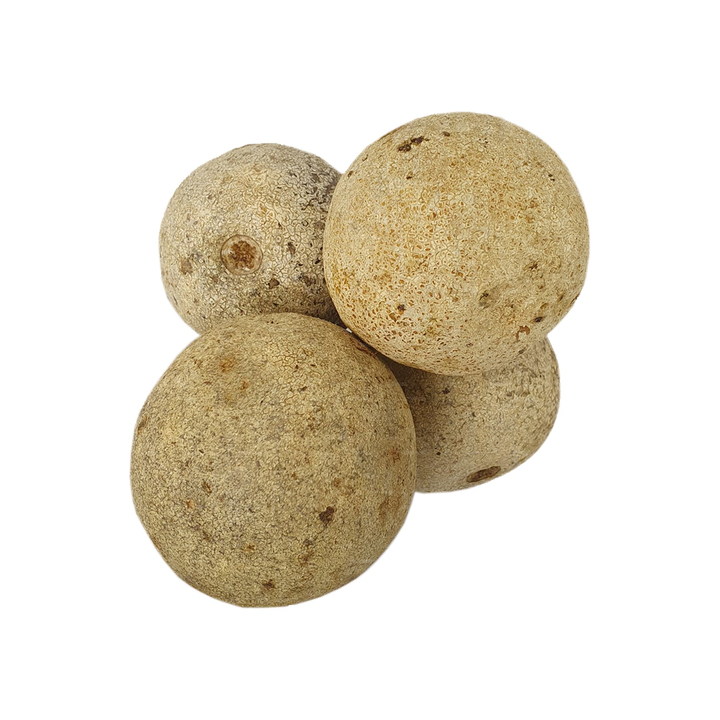 Lakpura houten appel