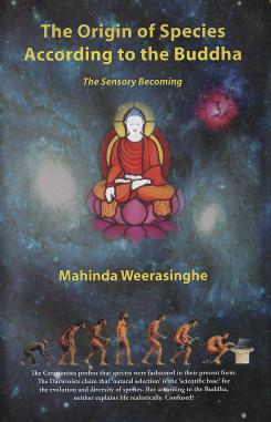Origin of Species According to the Buddha ( Paperback )