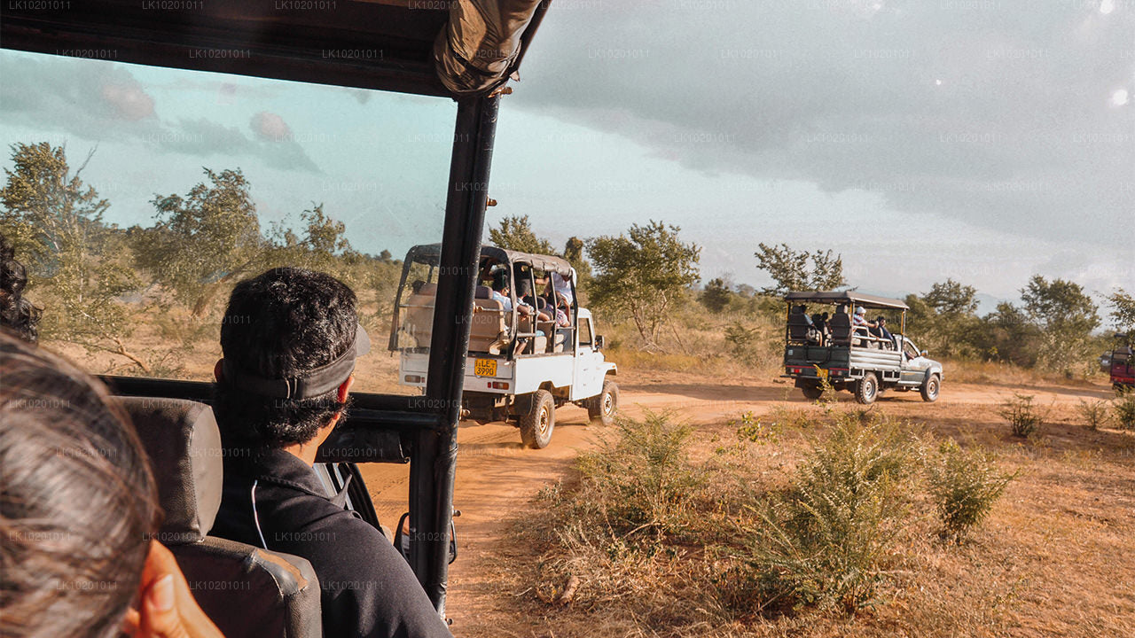 Udawalawe en Galle vanuit Colombo (2 dagen)