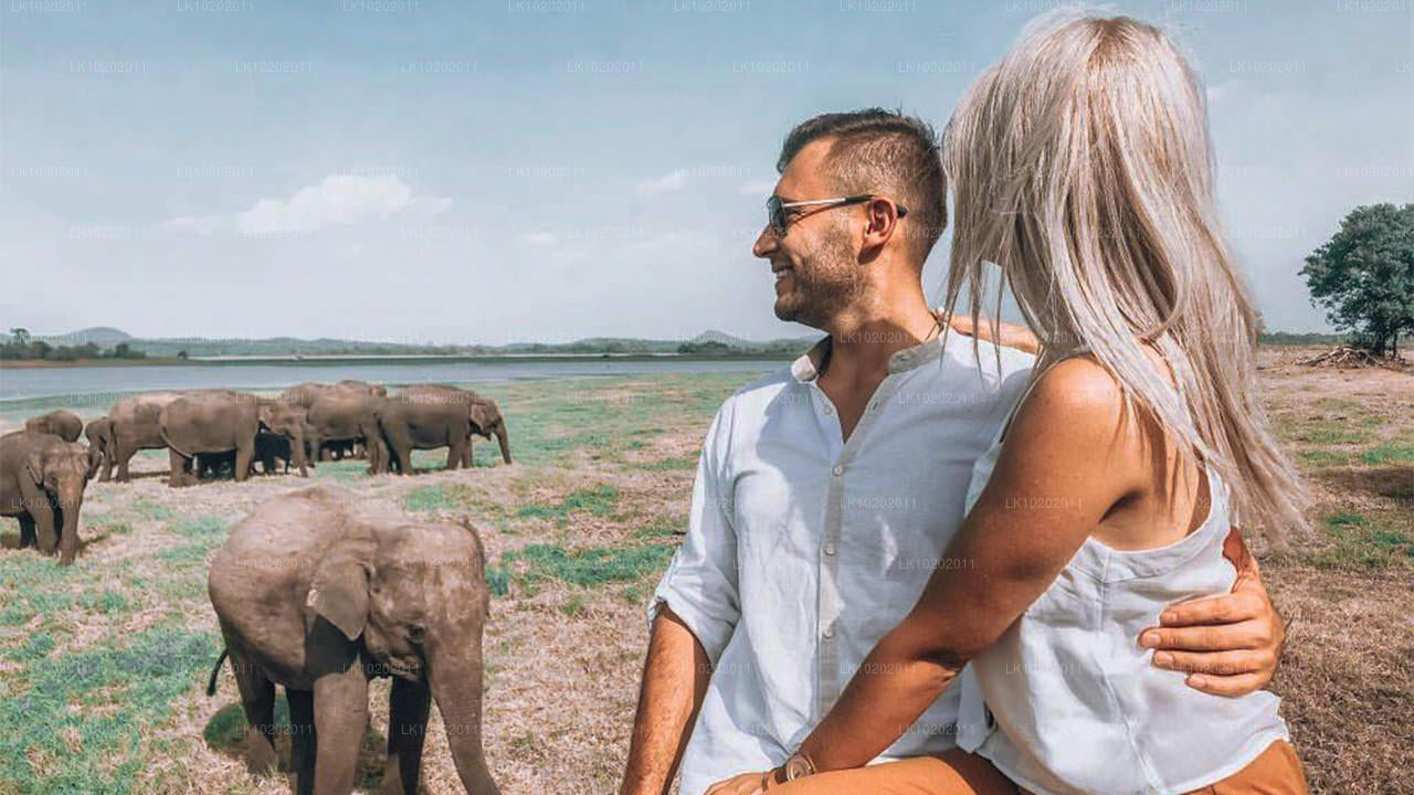 Sigirya en Minneriya vanuit Colombo (2 dagen)