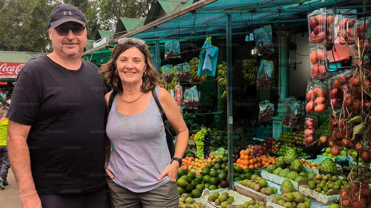 Nuwara Eliya uit Colombo (2 dagen)