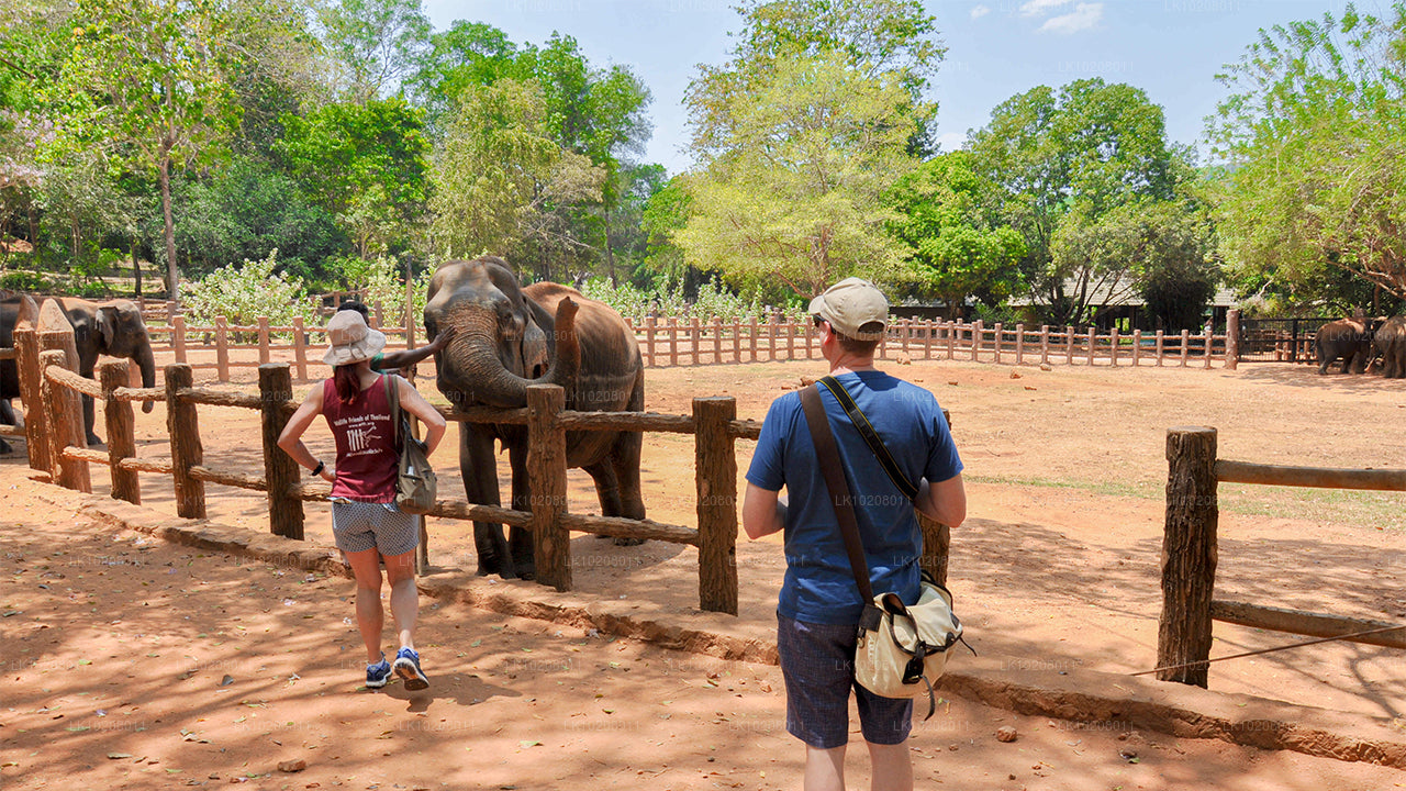 Culture of the Hills vanuit Colombo (2 dagen)