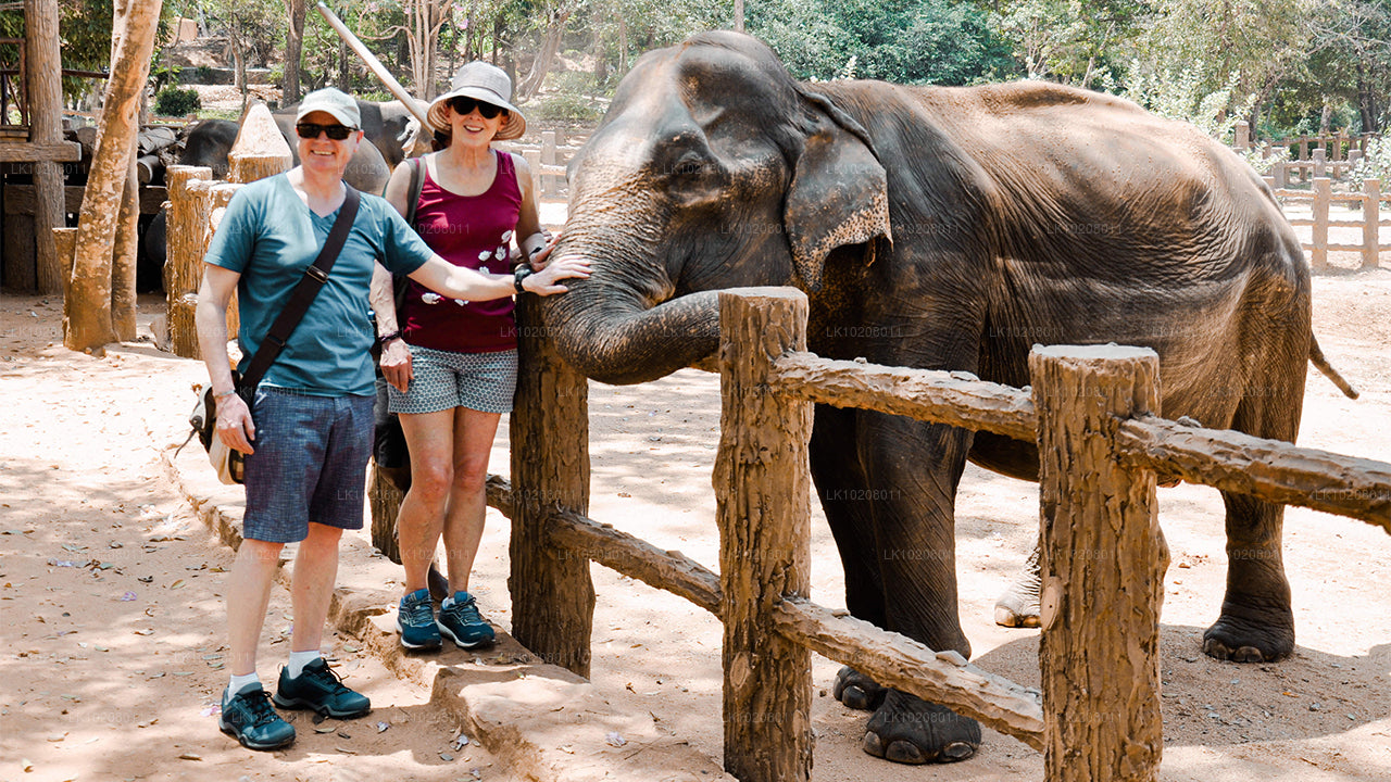 Culture of the Hills vanuit Colombo (2 dagen)