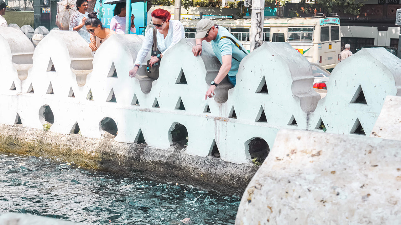 Culture of the Hills vanuit Colombo (2 dagen)