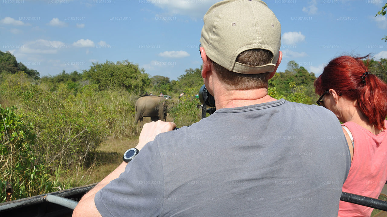 Wildlife- en werelderfgoedtour vanuit Galle (2 dagen)