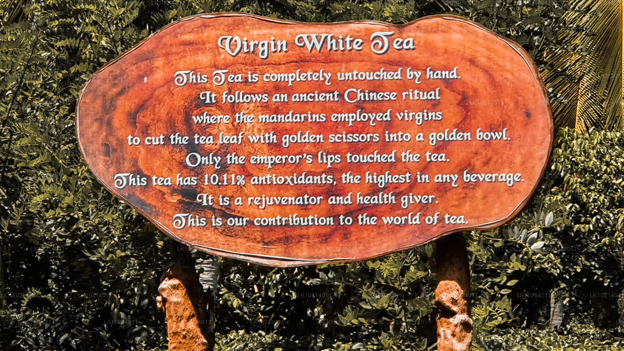 Ahangama en Mirissa uit Bentota (2 dagen)