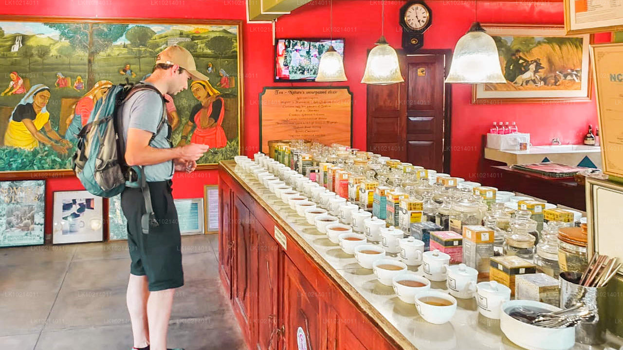 Ahangama en Mirissa uit Bentota (2 dagen)