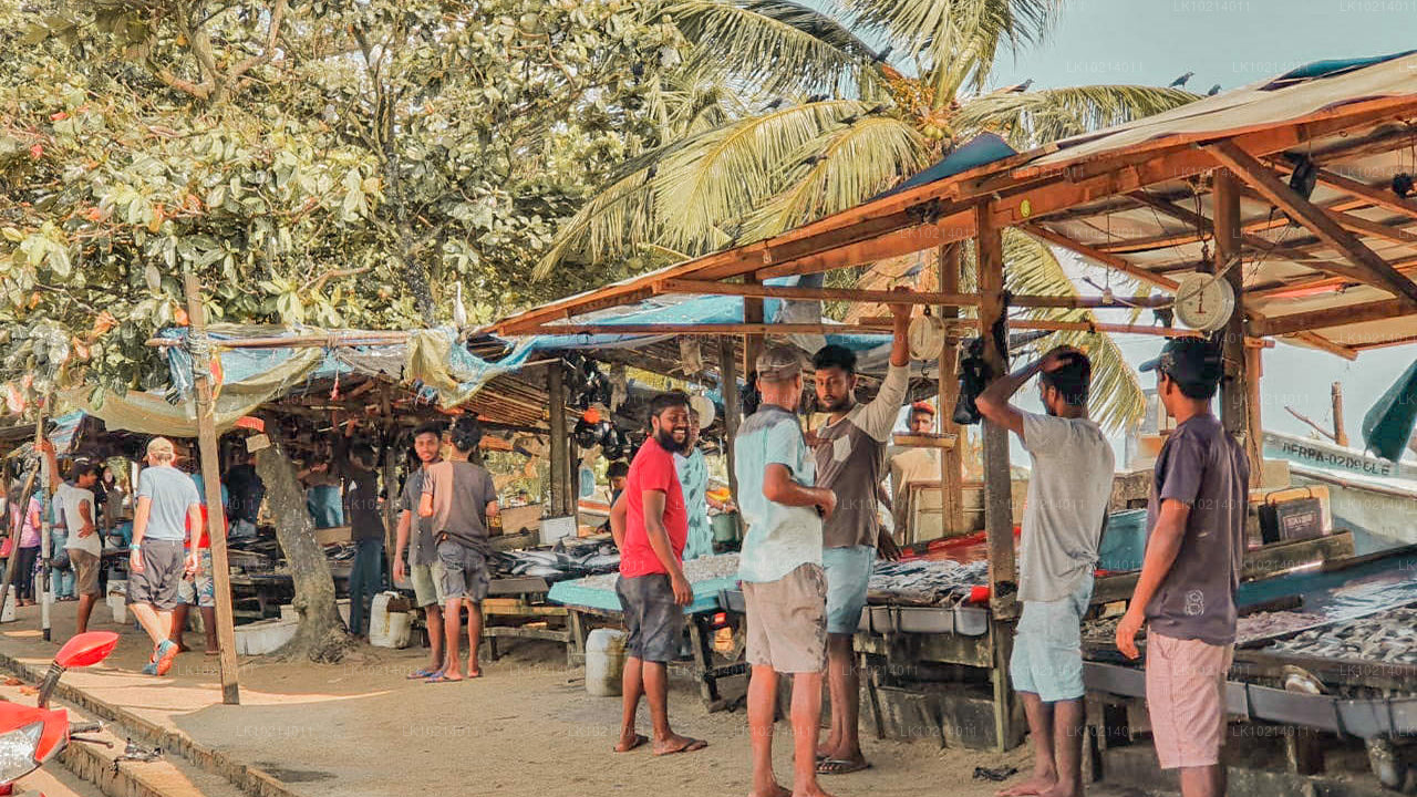 Ahangama en Mirissa uit Bentota (2 dagen)