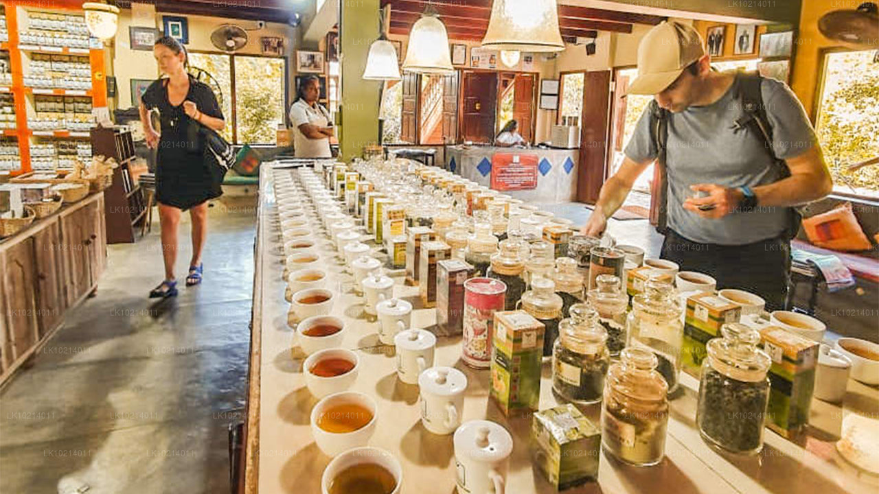 Ahangama en Mirissa uit Bentota (2 dagen)