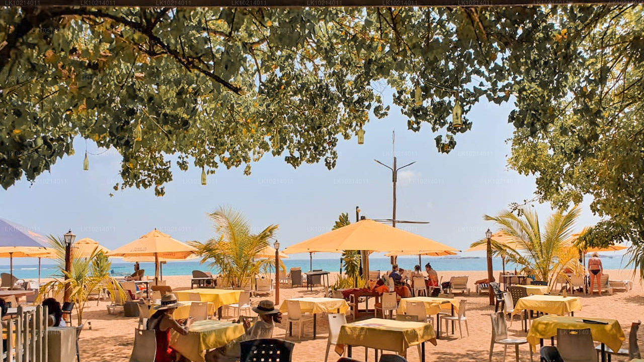 Ahangama en Mirissa uit Bentota (2 dagen)