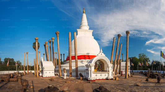 Wild Wonders and Sacred Spaces Tour vanuit Galle (2 dagen)