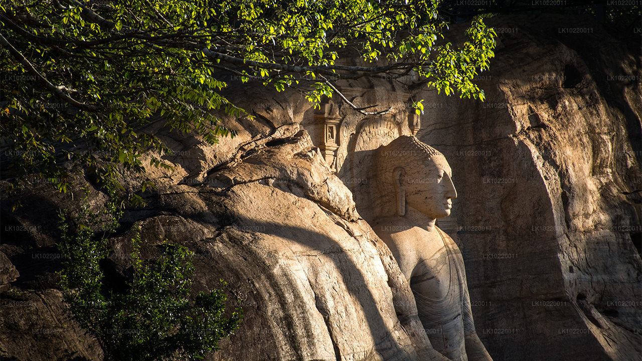 Ethos of Ceylon vanuit Kandy (2 dagen)