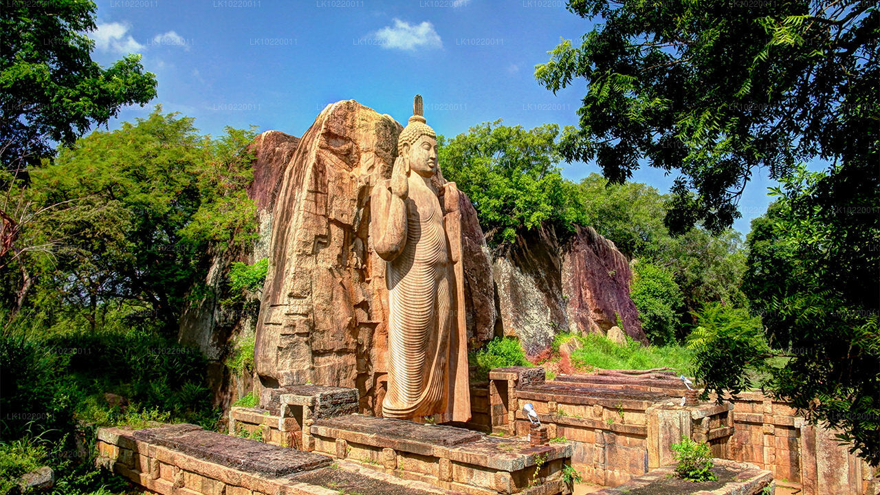 Ethos of Ceylon vanuit Kandy (2 dagen)