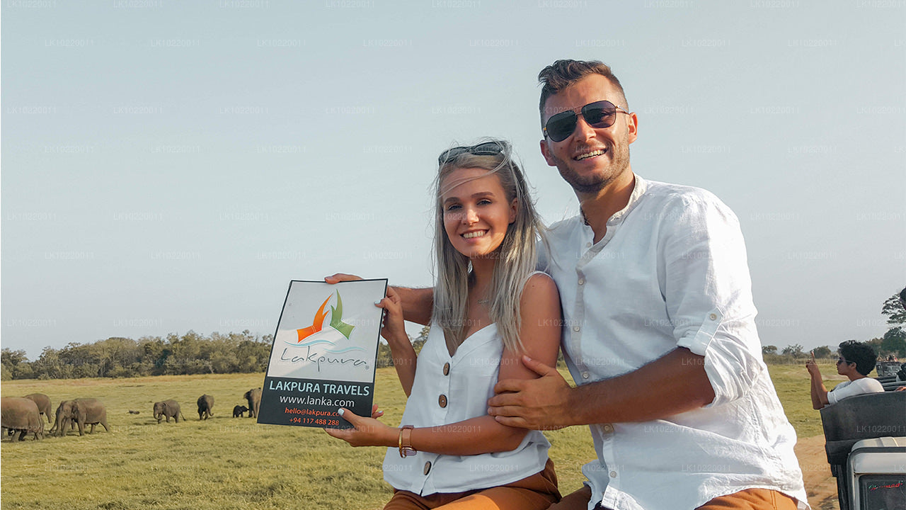 Ethos of Ceylon vanuit Kandy (2 dagen)