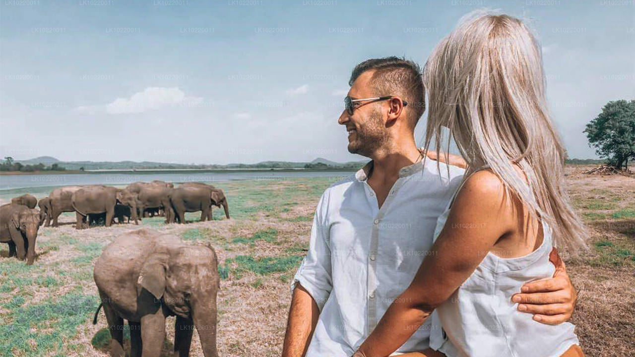 Ethos of Ceylon vanuit Kandy (2 dagen)