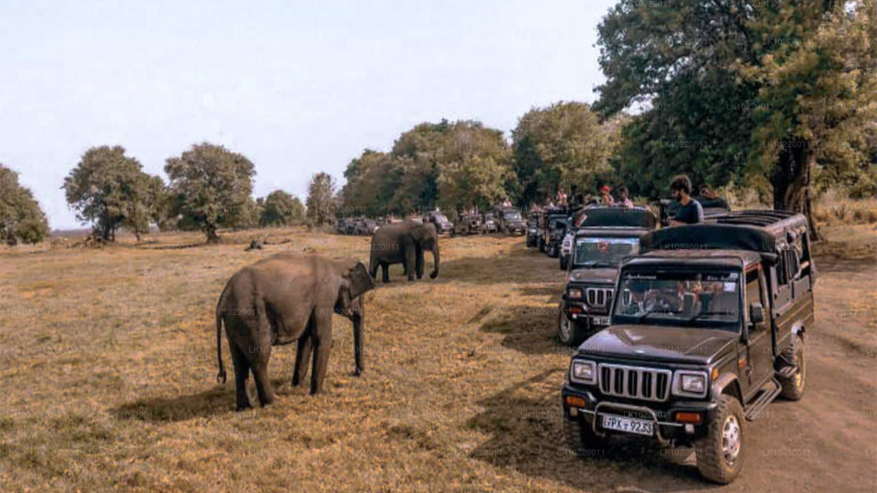 Ethos of Ceylon vanuit Kandy (2 dagen)