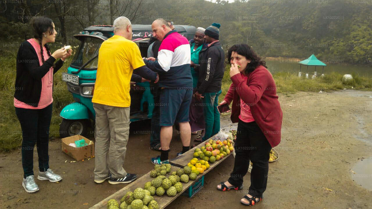 Highland Glory vanuit Kandy (2 dagen)
