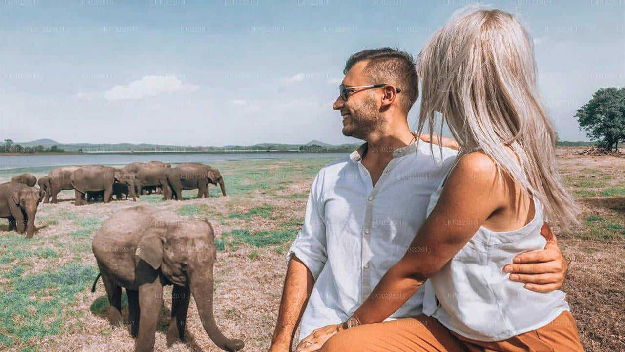 Sigirya en Minneriya vanuit Negombo (2 dagen)