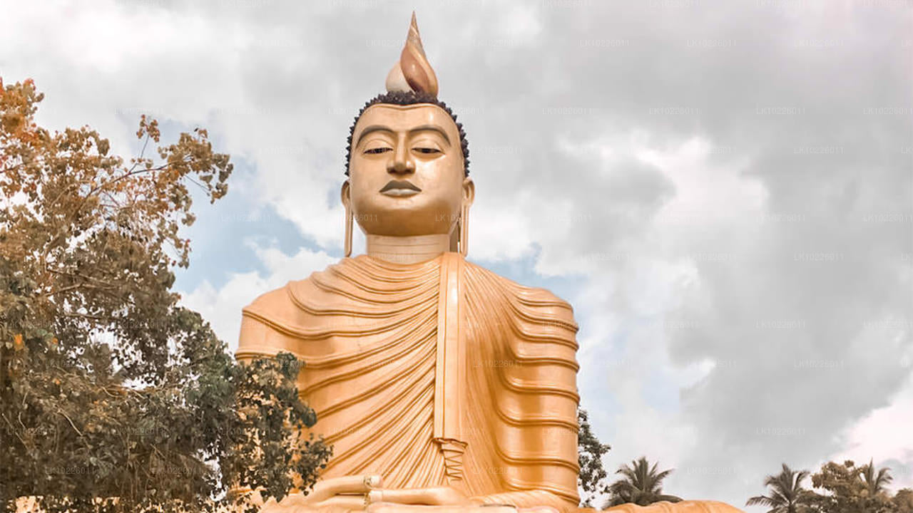 Tempels en wildernis vanuit Negombo (2 dagen)