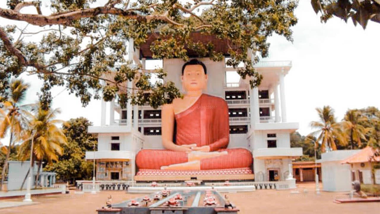 Tempels en wildernis vanuit Negombo (2 dagen)