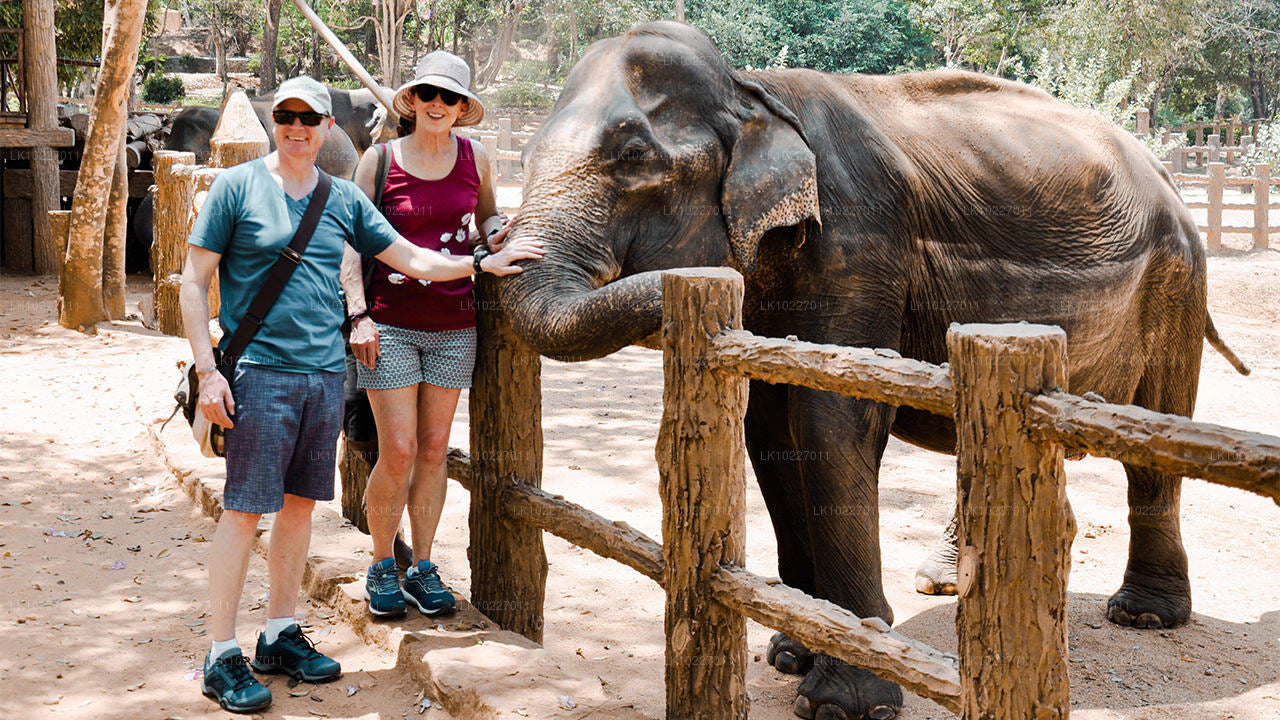 Culture of the Hills vanuit Negombo (2 dagen)