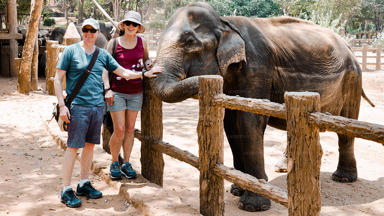 Culture of the Hills Tour vanuit Galle (2 dagen)