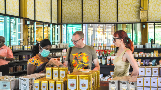 Misty Mountain Trails vanuit Galle (2 dagen)