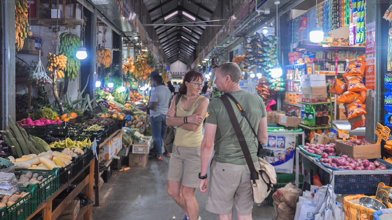 Misty Mountain Trails vanuit Galle (2 dagen)