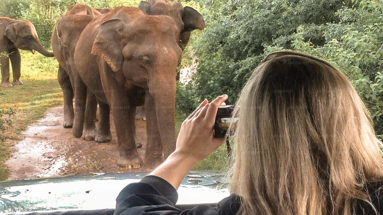 Udawalawe vanuit Hikkaduwa (2 dagen)