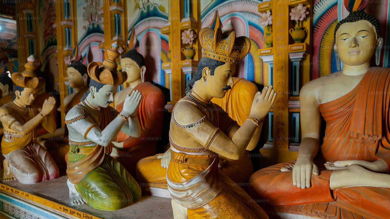 Udawalawe vanuit Hikkaduwa (2 dagen)