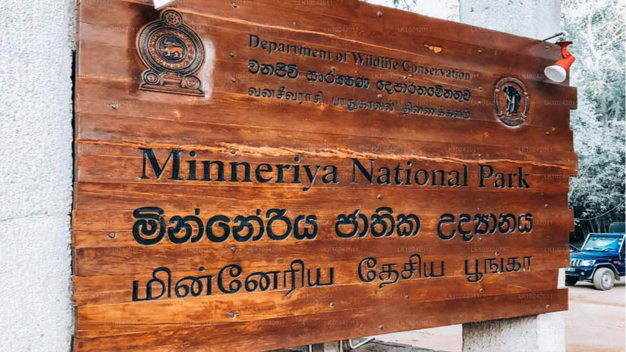 Oude wonderen vanuit Colombo (2 dagen)