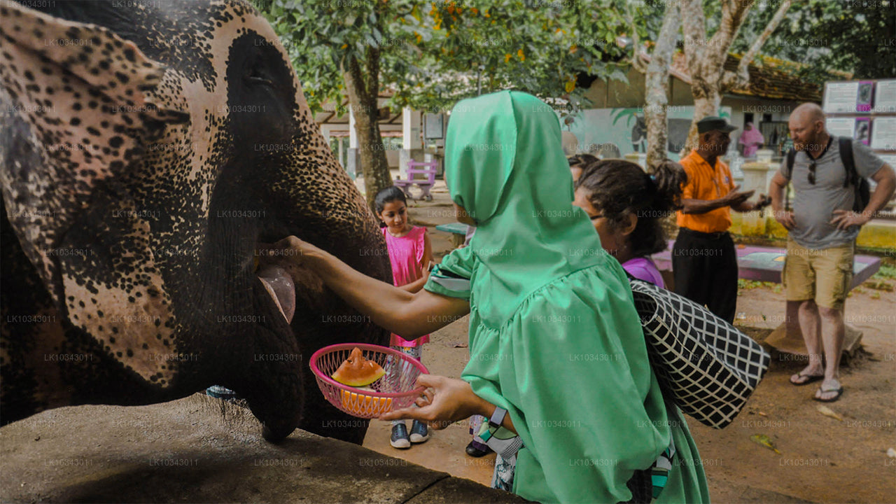 Wonder Island (3 dagen)