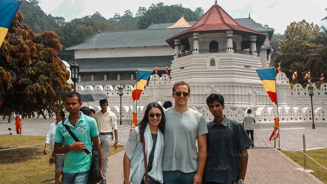 Wonder Island (3 dagen)