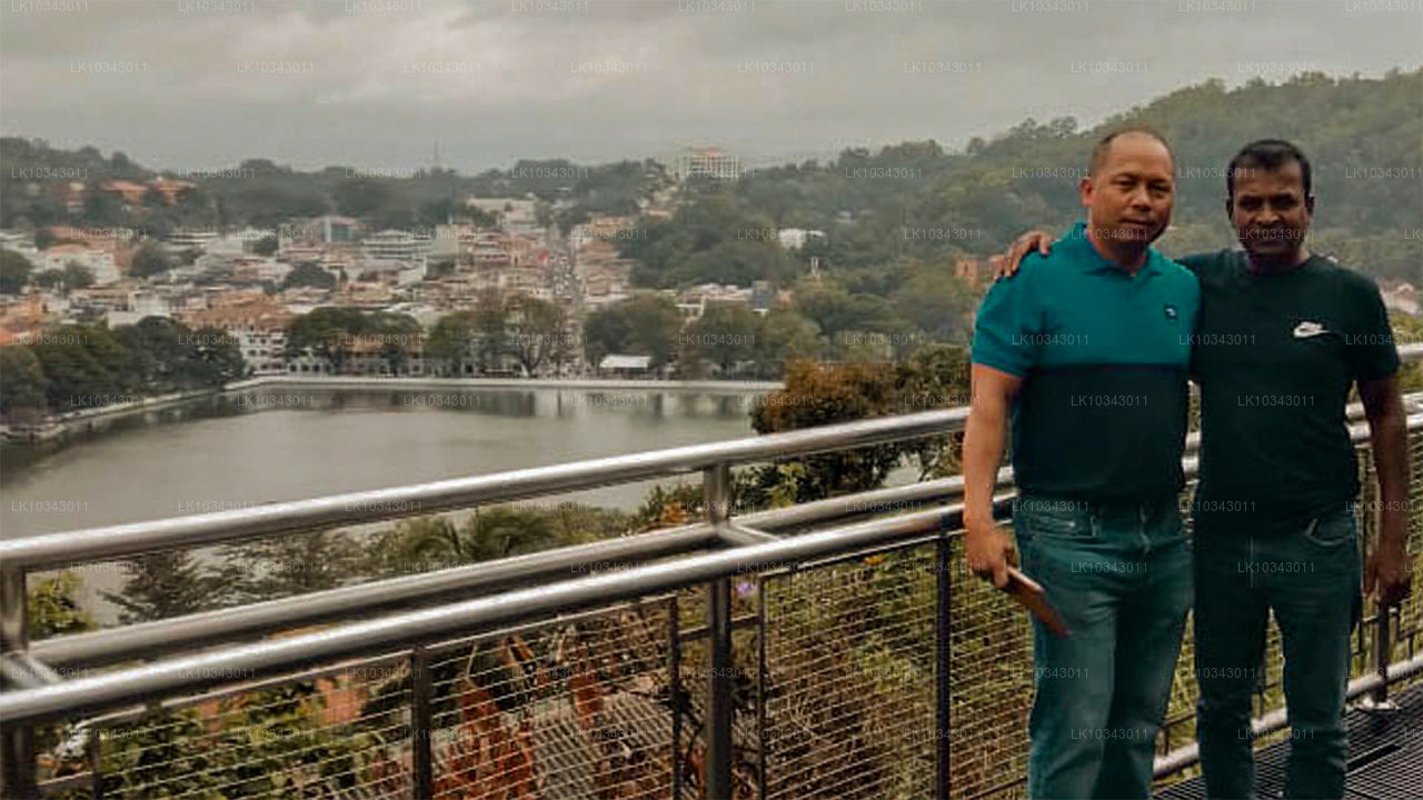 Wonder Island (3 dagen)