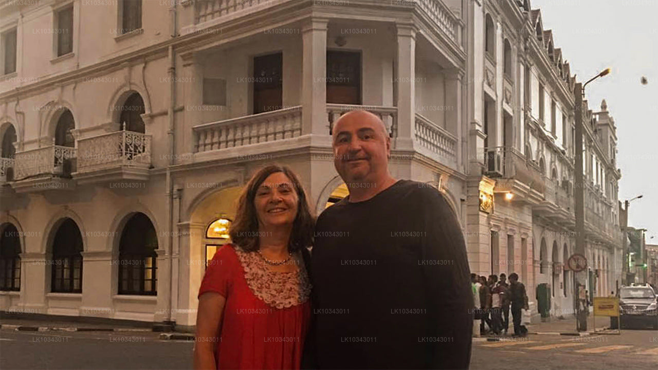 Wonder Island (3 dagen)