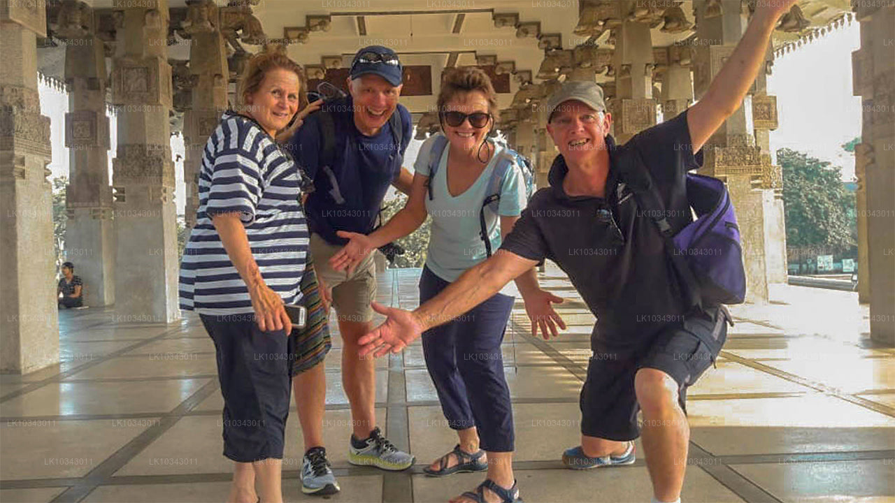 Wonder Island (3 dagen)