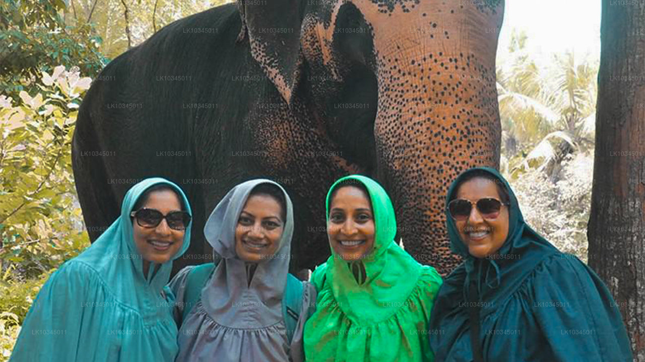 Laatste Koninkrijk Sri Lanka vanuit Colombo (3 dagen)
