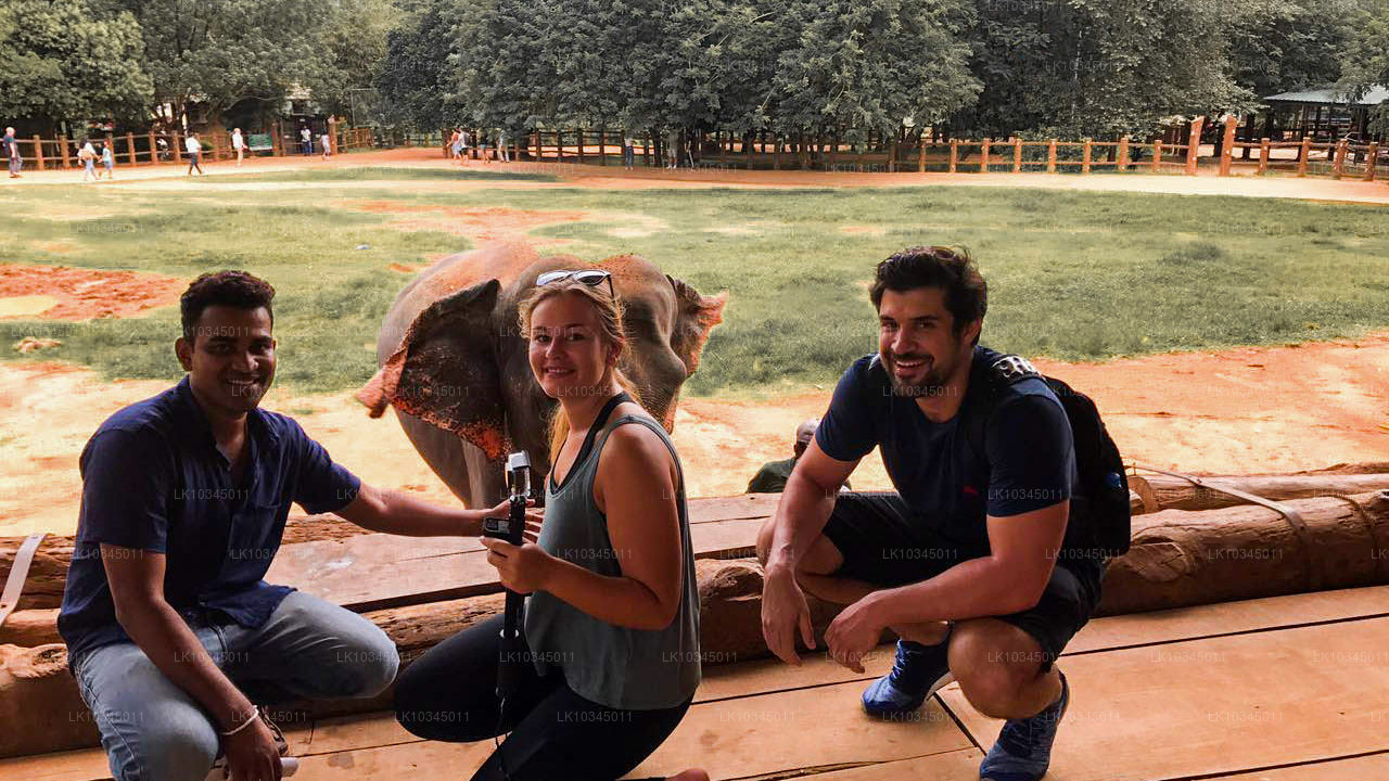 Laatste Koninkrijk Sri Lanka vanuit Colombo (3 dagen)