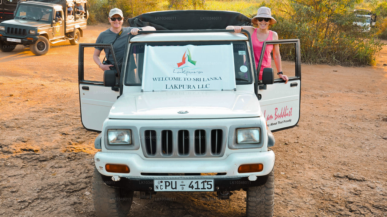 Tales of Ancient Ceylon uit Colombo (3 dagen)