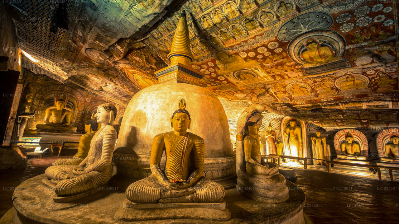 Tales of Ancient Ceylon uit Colombo (3 dagen)