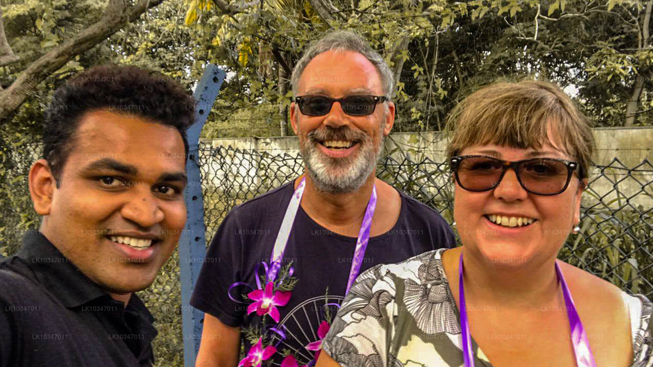 Heilige stad Anuradhapura vanuit Colombo (3 dagen)