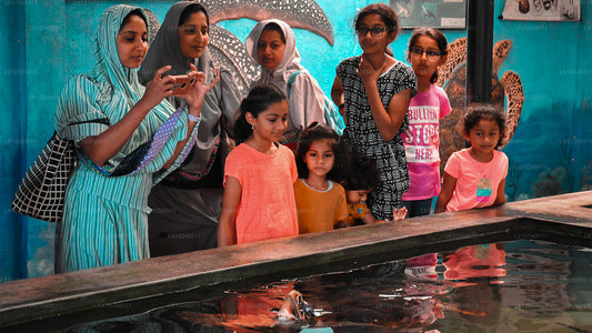 Cosy Sri Lanka (3 dagen)