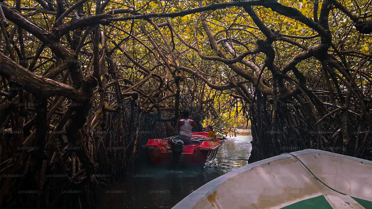 Cosy Sri Lanka (3 dagen)