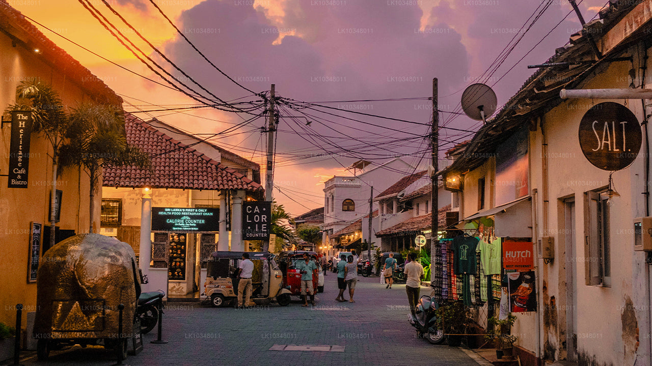 Cosy Sri Lanka (3 dagen)