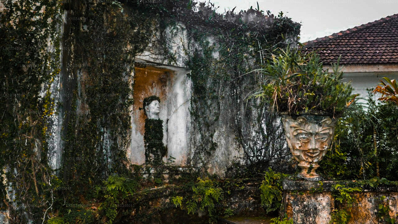 Cosy Sri Lanka (3 dagen)