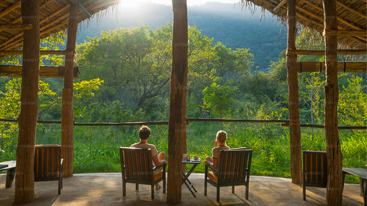 Eco-rondreizen door Sri Lanka (3 dagen)