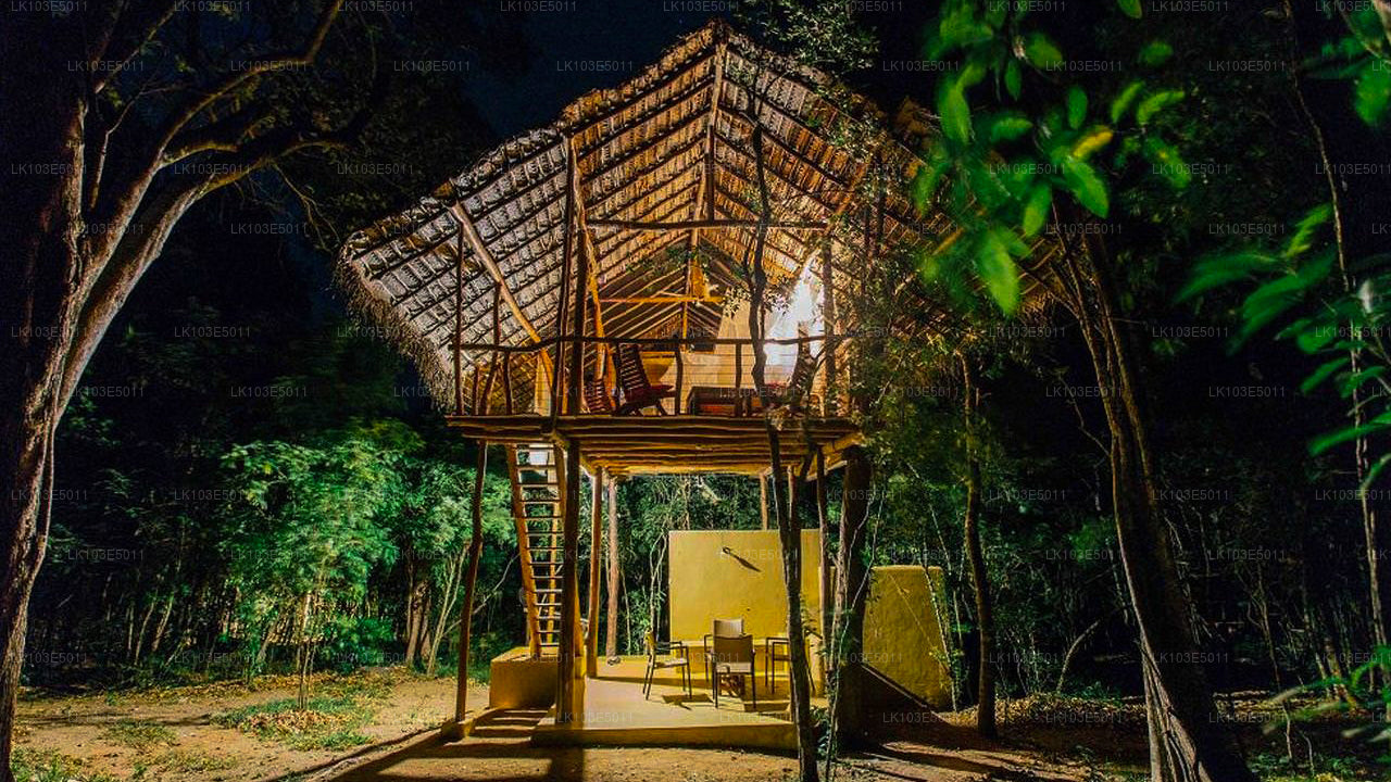 Eco-rondreizen door Sri Lanka (3 dagen)