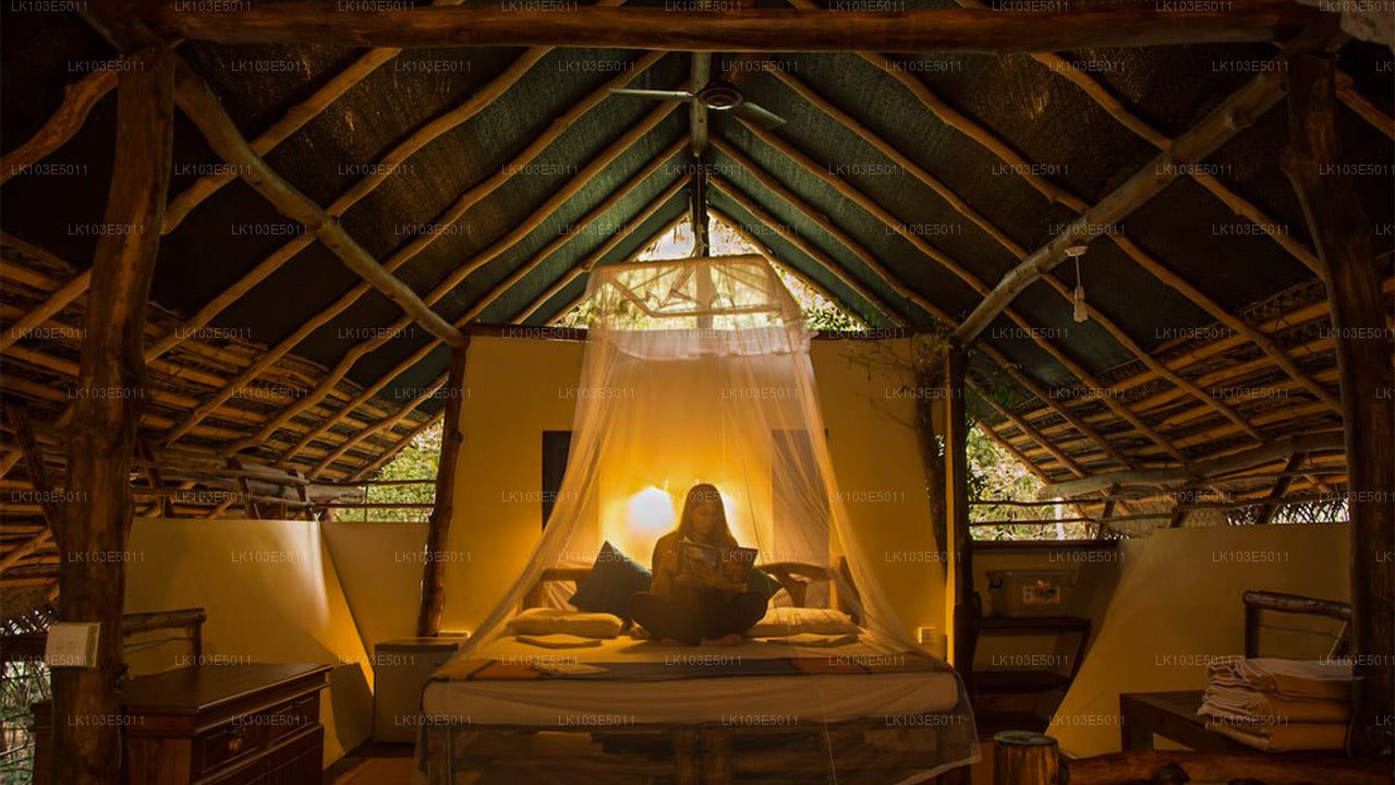 Eco-rondreizen door Sri Lanka (3 dagen)